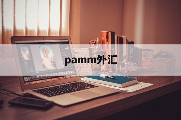 pamm外汇(外汇pamm是什么意思)